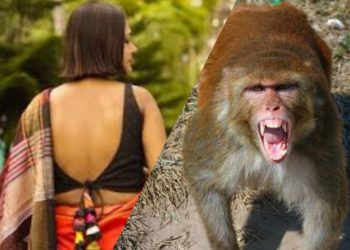 Watch viral video: Monkey pounces on young woman, but here comes a saviour!