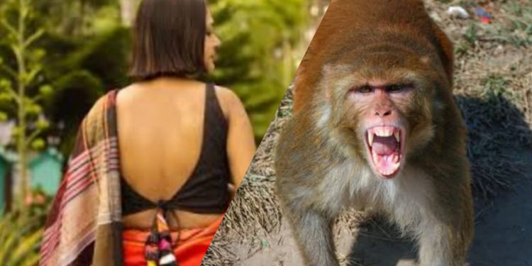 Watch viral video: Monkey pounces on young woman, but here comes a saviour!