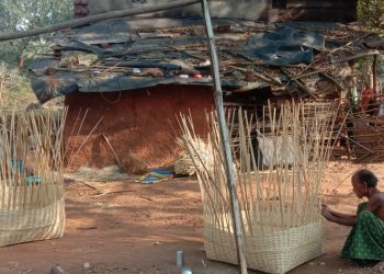 Odisha's bamboo artisans