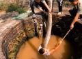 Watch viral video: Man trapped by python; what happens next is unbelievable!