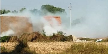 Brick kilns