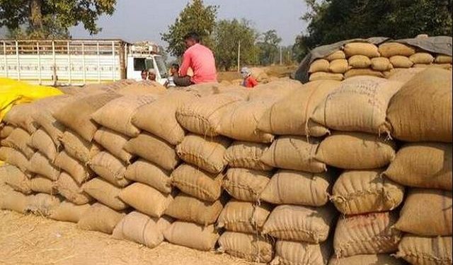 Odisha govt sets March 31 deadline for paddy procurement