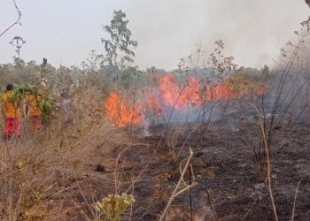 Wildfire razes Mitrabhanu forest in Keonjhar district