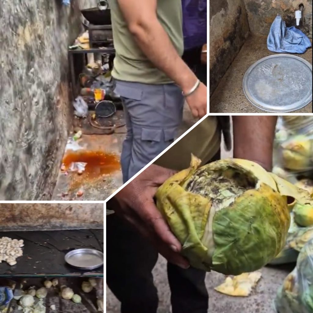 Watch viral video: Rodents feasting on spring rolls, you won’t believe how street food is prepared here!