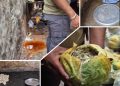 Watch viral video: Rodents feasting on spring rolls, you won’t believe how street food is prepared here!