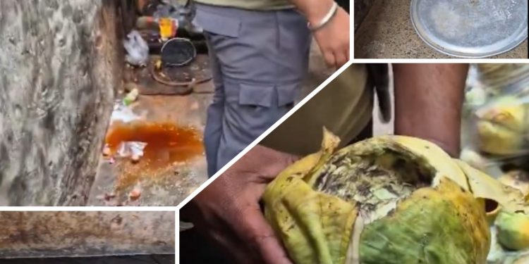 Watch viral video: Rodents feasting on spring rolls, you won’t believe how street food is prepared here!