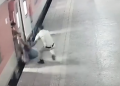 Watch video: Woman nearly pulled under moving train, then comes railway cop with quick reflexes!