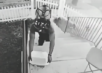 Watch viral video: Package thief walks away smiling, until he gets brutal reality check!