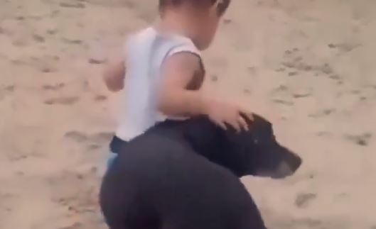 Viral video