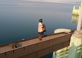 Mahanadi bridge