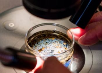 MicroPlastics